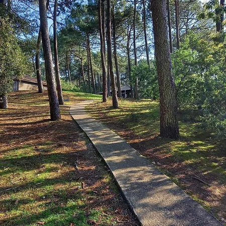 Apartamento La De Dadou Lacanau