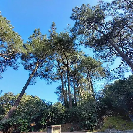 La De Dadou Apartament Lacanau